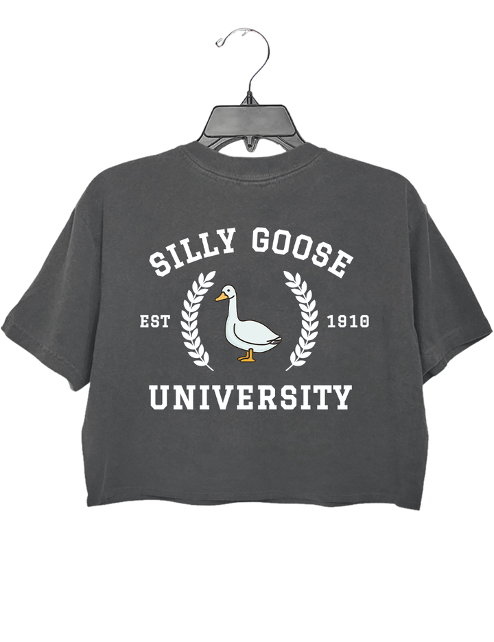 Silly Goose University Crop Top