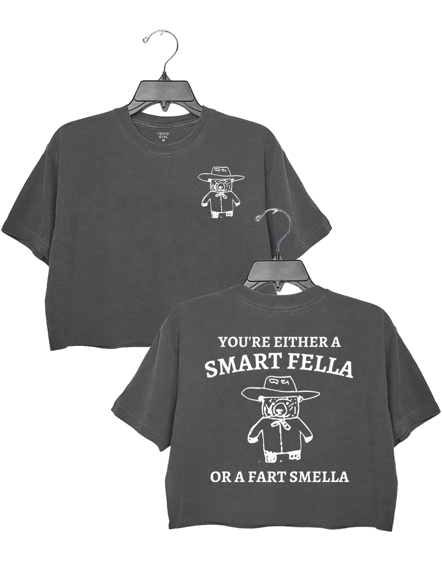 Are You A Smart Fella Or Fart Smella? Crop Top