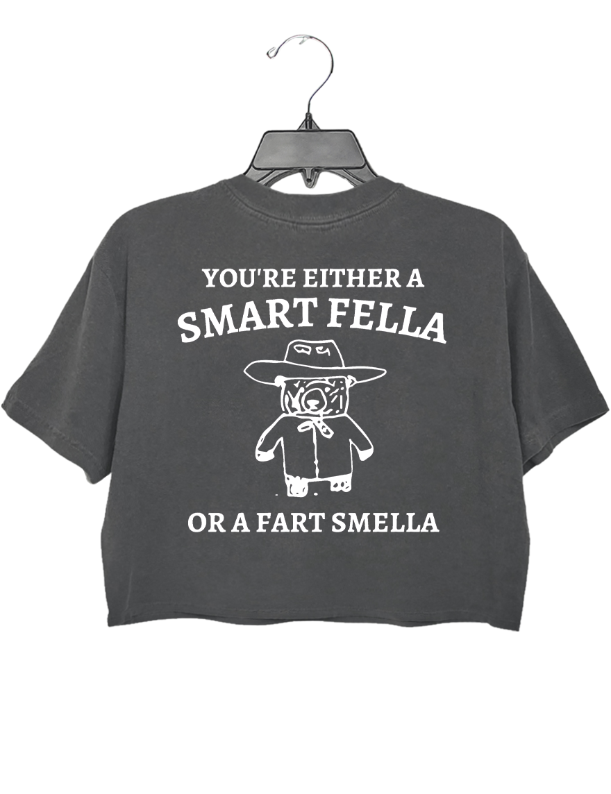 Are You A Smart Fella Or Fart Smella? Crop Top