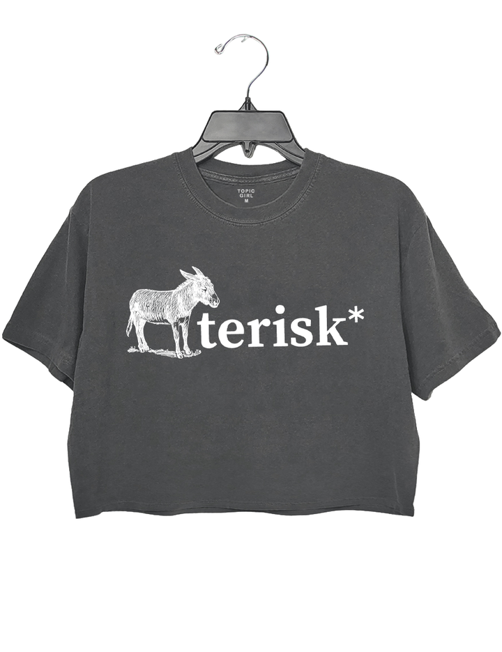 Asterisk Reader Writer Funny Saying Crop Top