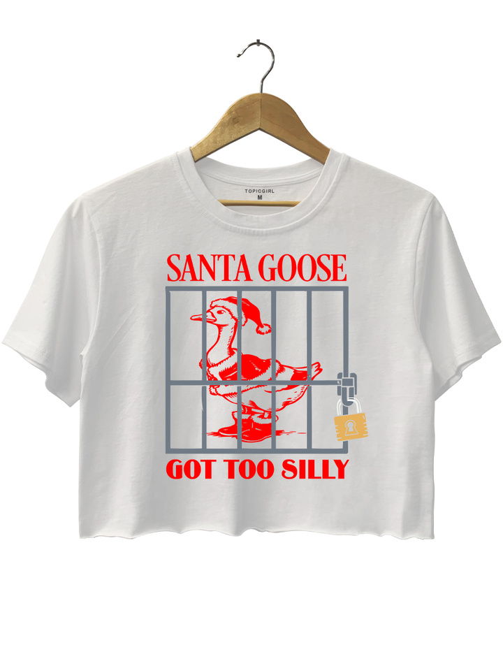 Santa Goose Got Too Silly