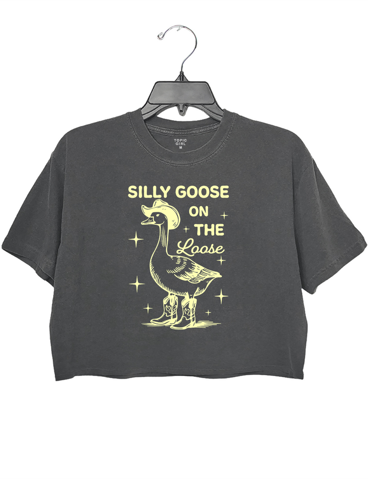 Silly Goose On The Loose Crop Top