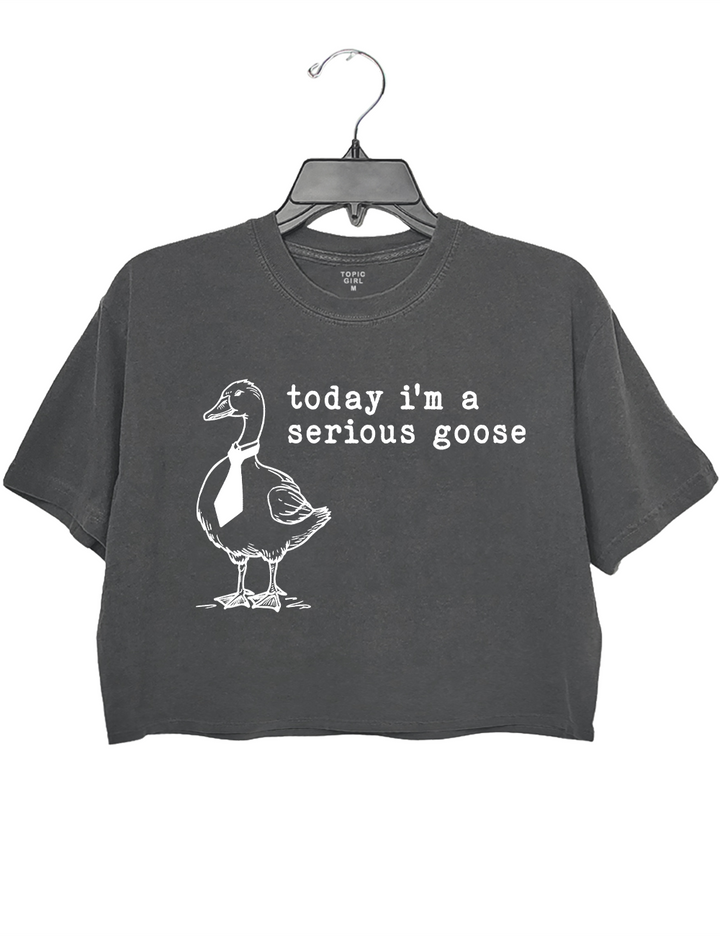 Today I'm A Serious Goose Crop Top