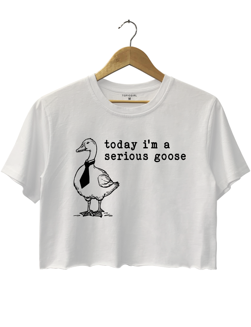 Today I'm A Serious Goose Crop Top